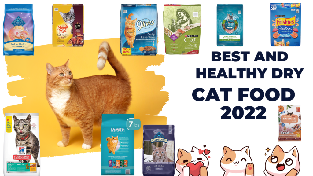 best and healthy dry cat food