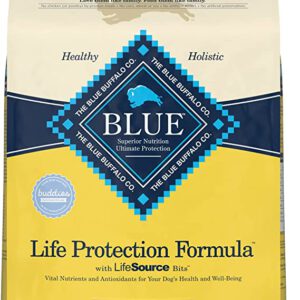 Blue Buffalo Dry Dog Food Life Protection Formula Natural