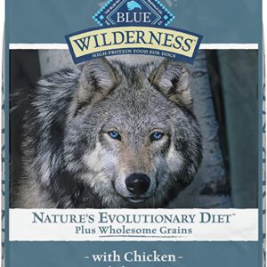 Blue Buffalo Dry Dog Food