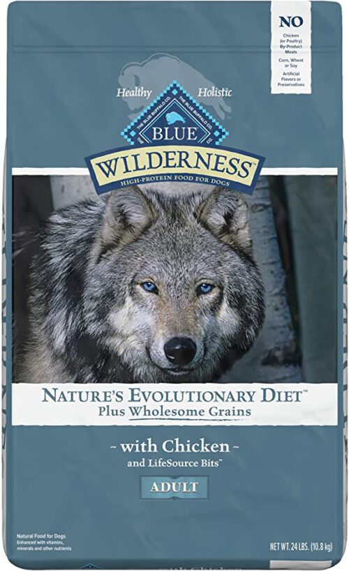 Blue Buffalo Dry Dog Food