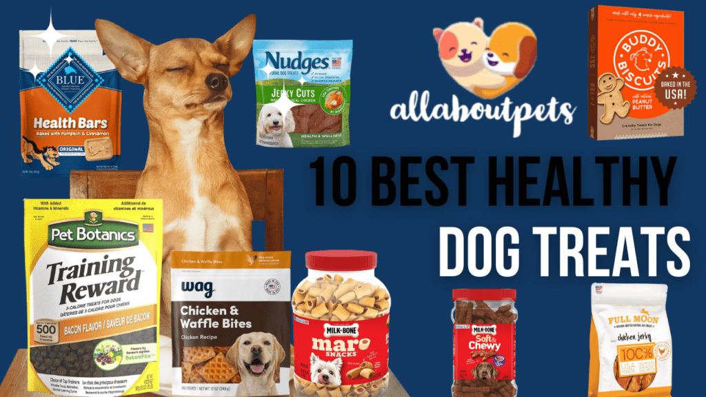 best healthy dog treats