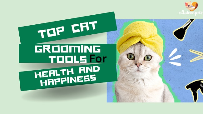Top Cat Grooming